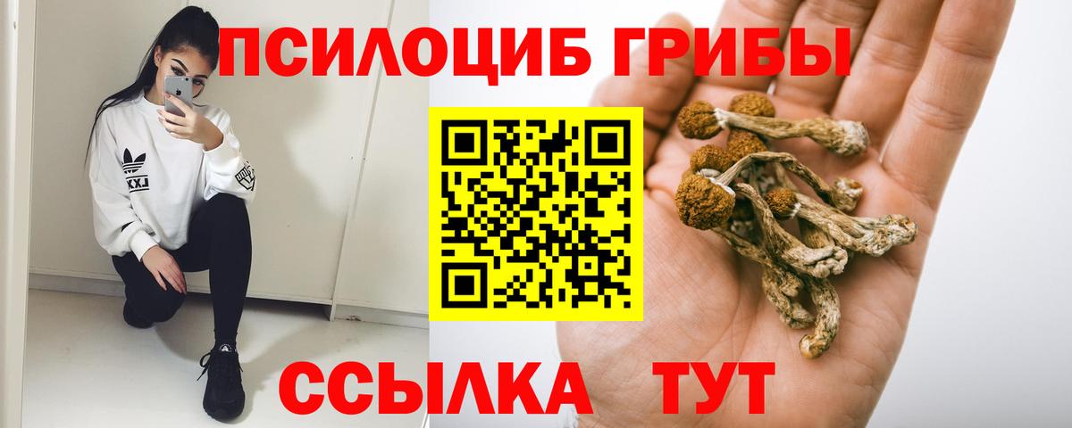 Галлюциногенные грибы прущие грибы  Вход с VPN  Галлюциногенные грибы GOLDEN TEACHER  Нижнекамск 